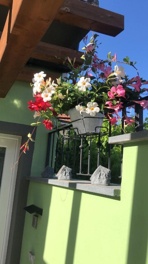 Bed and Breakfast Tom & Jerry Piza Zewnętrze zdjęcie